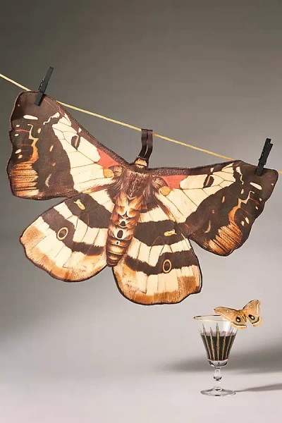 Catherine Martin Shaped Moth Dish Towel In Brown