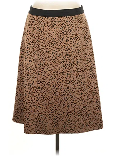 Pre-owned Cato Casual Skirt In Brown