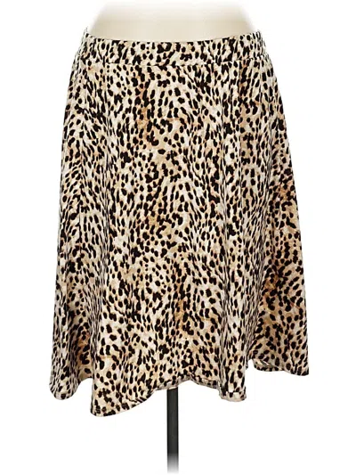 Pre-owned Cato Casual Skirt In Brown