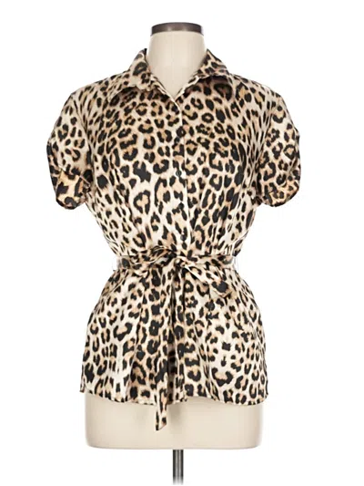 Pre-owned Cato Short Sleeve Blouse In Brown