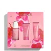 Caudalíe Vinohydra Serum 75ml Set (worth £37)