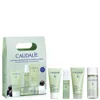 Caudalíe Vinopure Starter Kit