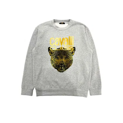 Cavalli Class Gray Polyester Sweater In Grey