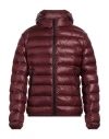 Cavalli Class Man Down Jacket Burgundy Size Xxl Polyester In Red