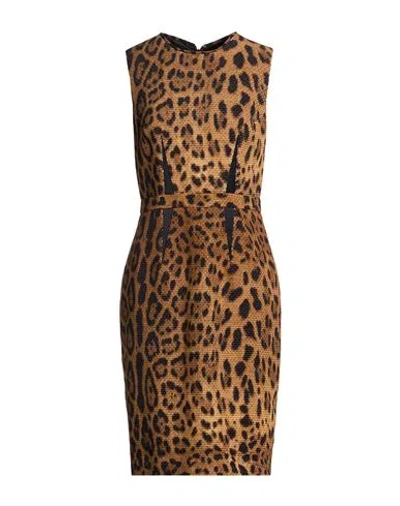 Cavalli Class Woman Mini Dress Khaki Size 10 Cotton, Wool In Brown