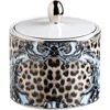 Cavalli Classic Sugar Pot In Multi