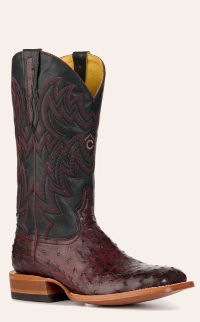 Cavenders Cavender's Men's Black Cherry Full Quill Ostrich And Black Wide Square Toe Exotic Cowboy Boots In Brown