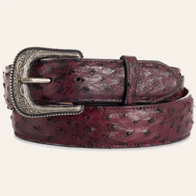 Cavenders Cavender's Men's Black Cherry Full Quill Ostrich Exotic Western Belt In Burgundy