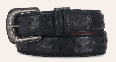 Cavenders Cavender's Men's Black Full Quill Ostrich Exotic Western Belt