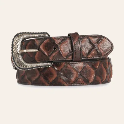 Cavenders Cavender's Men's Brown Pirarucu Leather Belt With Silver Buckle