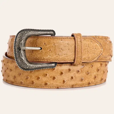 Cavenders Cavender's Men's Butterscotch Full Quill Ostrich Exotic Western Belt In Brown