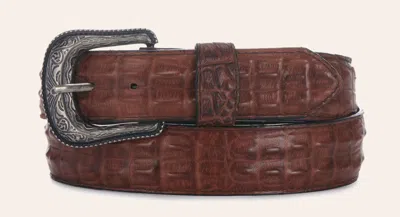 Cavenders Cavender's Men's Chocolate Brown Caiman Hornback Print Western Belt