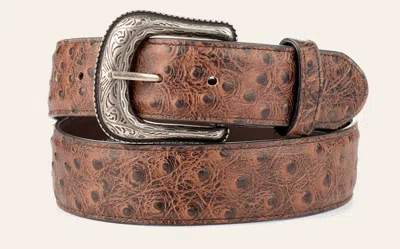 Cavenders Cavender's Men's Chocolate Ostrich Print Western Belt In Brown