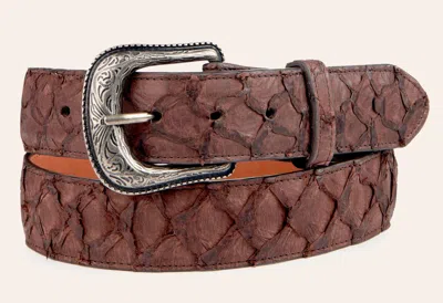 Cavenders Cavender's Men's Cigar Pirarucu Print Western Belt In Brown
