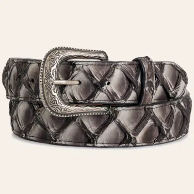 Cavenders Cavender's Men's Gray Pirarucu Belt In Black