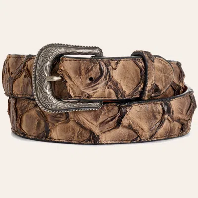 Cavenders Cavender's Men's Iced Coffee Pirarucu Belt In Brown