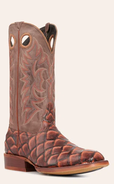 Cavenders Cavender's Men's Intrepid Chocolate And Whisky Pirarucu Print Wide Square Toe Cowboy Boots In Brown