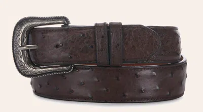 Cavenders Cavender's Men's Kango Tobacco Brown Full Quill Ostrich Exotic Western Belt
