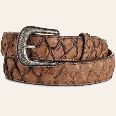 Cavenders Cavender's Men's Mahogany Pirarucu Belt In Brown