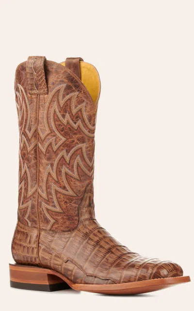 Cavenders Cavender's Men's Orix Brown And Chestnut Caiman Belly Wide Square Toe Exotic Cowboy Boots In Multi