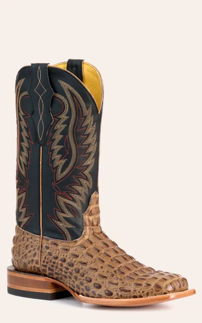Cavenders Cavender's Men's Pecan Caiman Print And Black Wide Square Toe Cowboy Boots In Multi