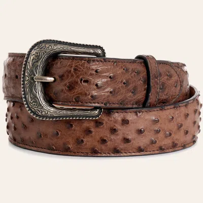 Cavenders Cavender's Men's Toasted Pecan Full Quill Ostrich Exotic Western Belt In Brown