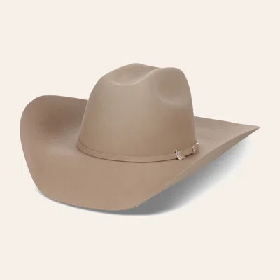 Cavenders Cavender's Silver Star Dark Silverbelly 10x Felt Cowboy Hat In Brown