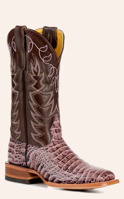 Cavenders Cavender's Women's Endurance Chocolate And Pink Crocodile Print Wide Square Toe Cowboy Boots In Burgundy