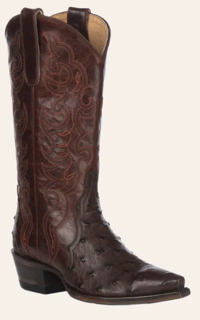 Cavenders Cavender's Women's Full Quill Ostrich Black Exotic Snip Toe Cowboy Boots In Brown