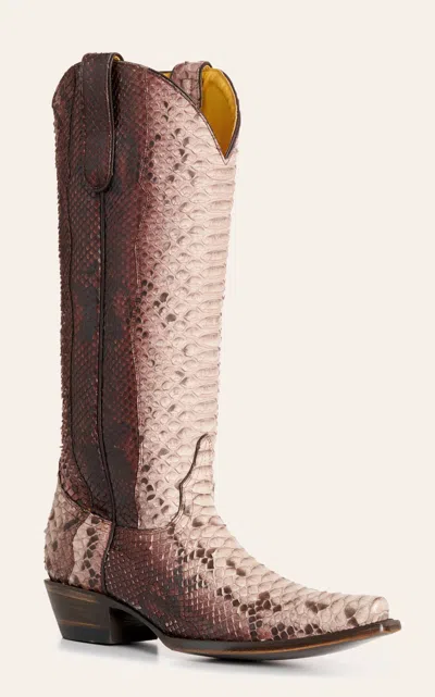 Cavenders Cavender's Women's Rose Mahogany Python Snip Toe Cowboy Boots In Brown