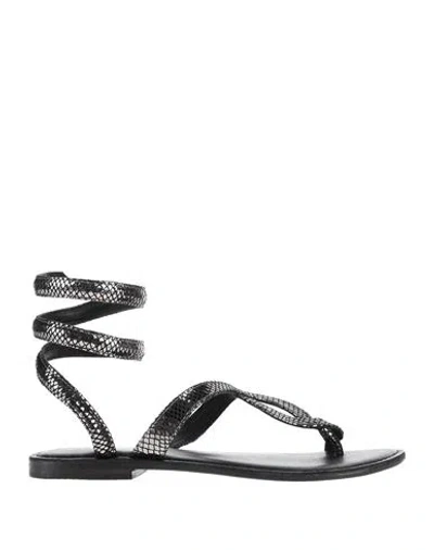 Cb Fusion Woman Thong Sandal Charcoal Size 8 Leather In Grey
