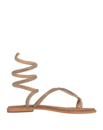 Cb Fusion Woman Thong Sandal Rose Gold Size 10 Leather In Brown