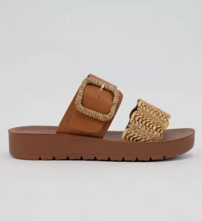 Ccocci Women's Cactus Slip-on Sandal In Brown