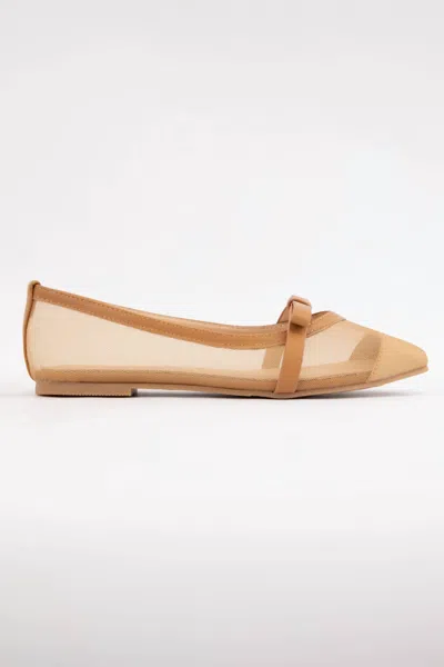 Ccocci Women's Florence Flats With Bow Detail In Camel In Brown
