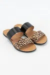 Ccocci Women's Leopard Slide Sandal In Black Leopard In Multi
