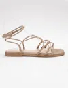 Ccocci Women's Macy Gladiator Sandal In Black In Neutral