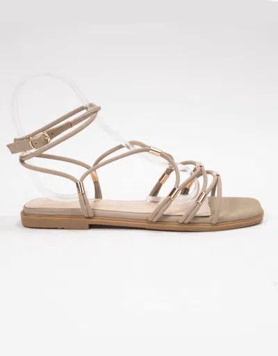 Ccocci Women's Macy Gladiator Sandal In Black In Neutral