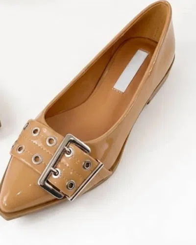 Ccocci Women's Rivets Pointed Toe Slip-on Flats In Tan In Multi