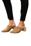 Ccocci Women's Spotted Mules In Cheetah In Multi