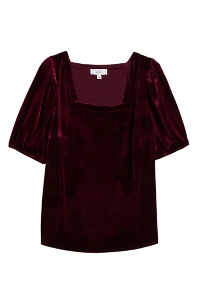 Cece Square Neck Velvet Knit T-shirt In Burgundy