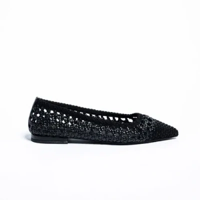 Cecelia New York Brie  Woven Point Toe Ballet Flat In Black Suede