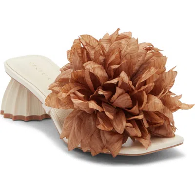 Cecelia New York Dahlia Slide Sandal
