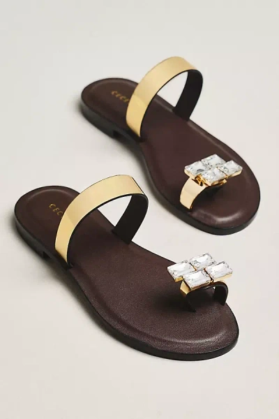 Cecelia New York Demi Sandals In Brown