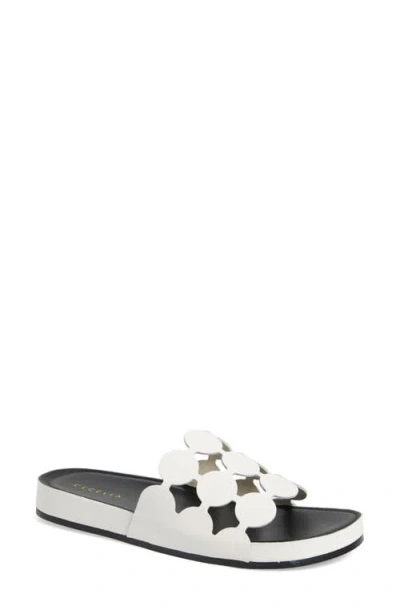 Cecelia New York Emily Slide Sandal In White/black