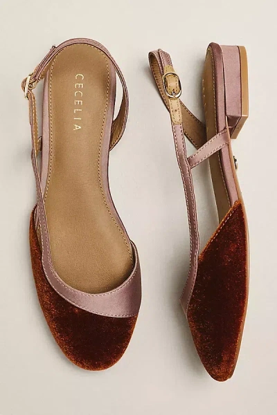 Cecelia New York Heidi Slingback Flats In Multi