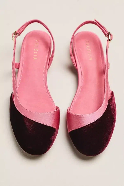 Cecelia New York Heidi Slingback Flats In Multi