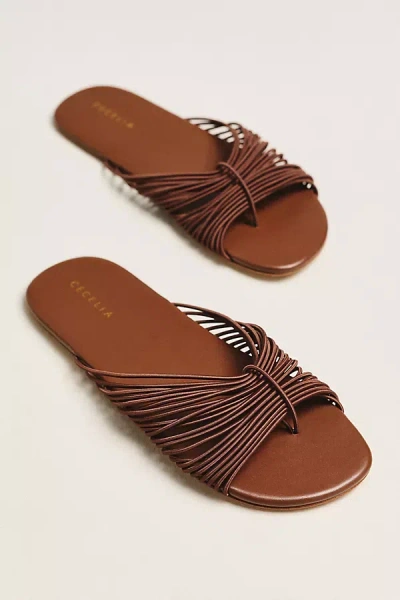Cecelia New York Lipstick Slider Sandals In Brown