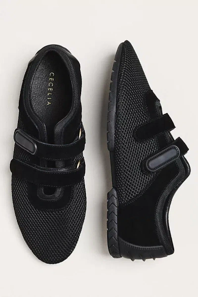 Cecelia New York Monroe Mesh Sneakers In Black