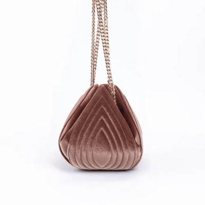 Cecelia New York Tulip In Pink