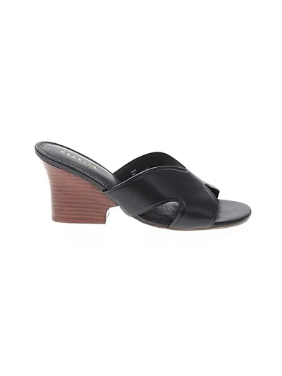 Pre-owned Cecelia New York Wedges In Black